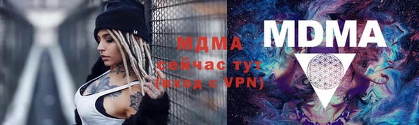 spice Дмитриев
