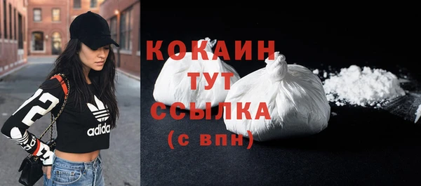 spice Дмитриев