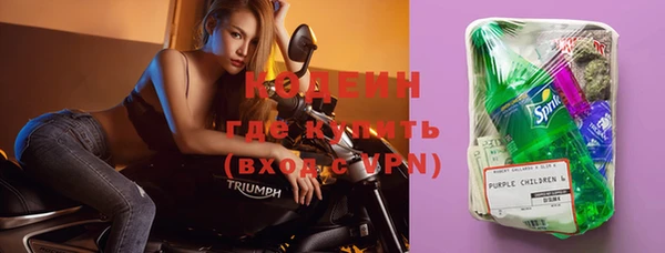 spice Дмитриев