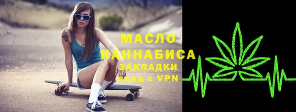 spice Дмитриев
