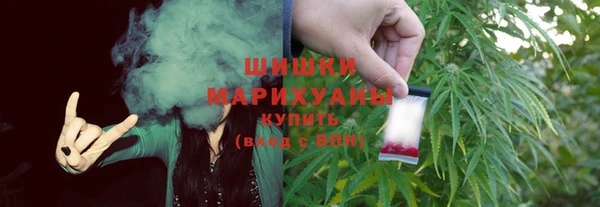 spice Дмитриев