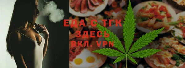 spice Дмитриев