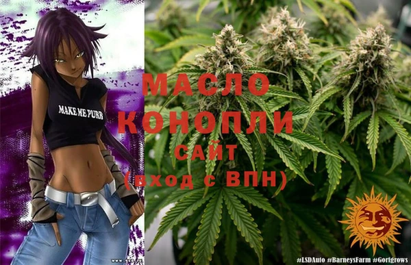 spice Дмитриев