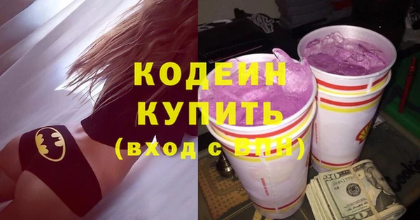 spice Дмитриев