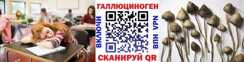 Псилоцибиновые грибы мицелий  Старица 